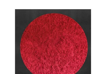 Σταύρη Ντουμάζιου, Aποφασίζω Έκλειψη,  εκδόσεις ενύπνιο