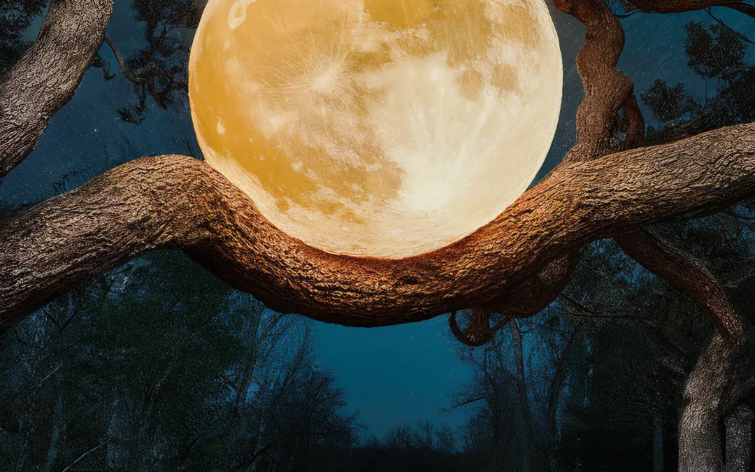 Γεωργία Λαμπάρα, Πάντα κυνηγούσες Φεγγάρια  