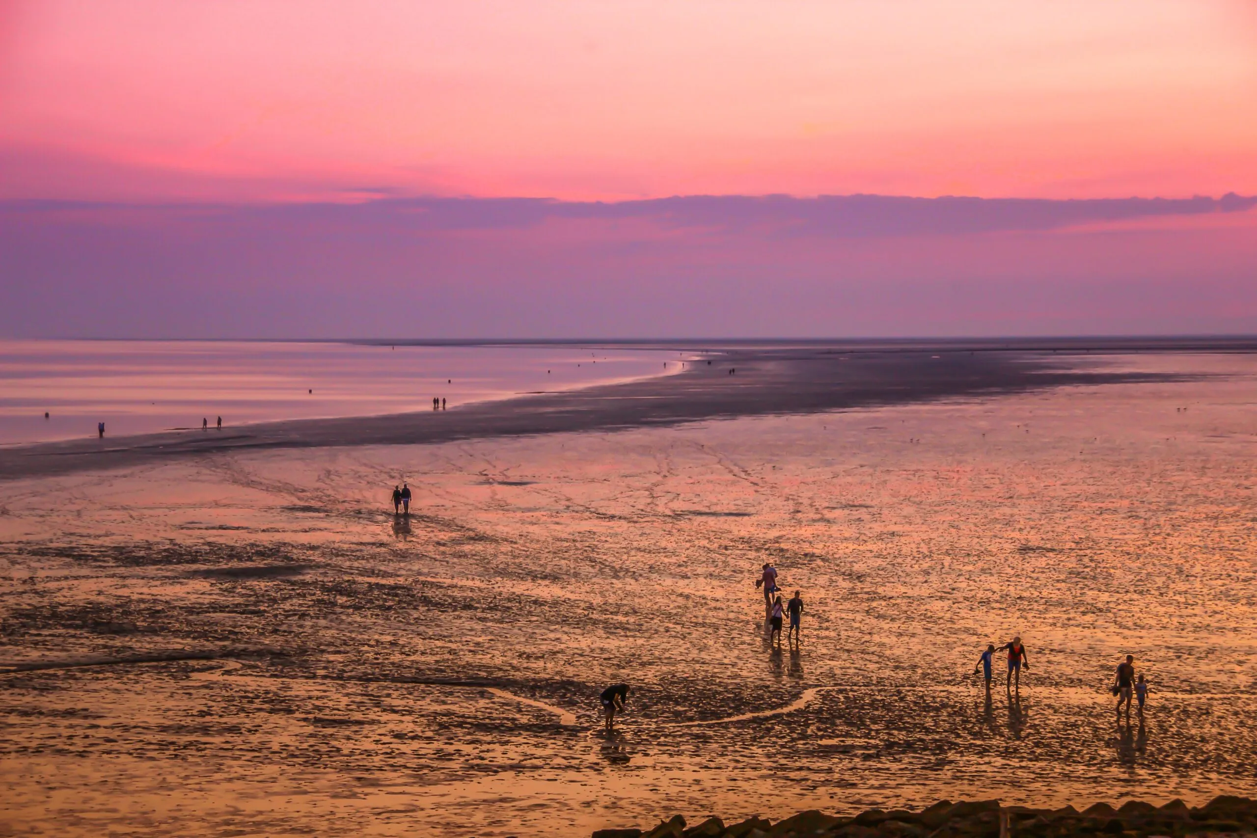 analogicus-mudflat-hike-4285877