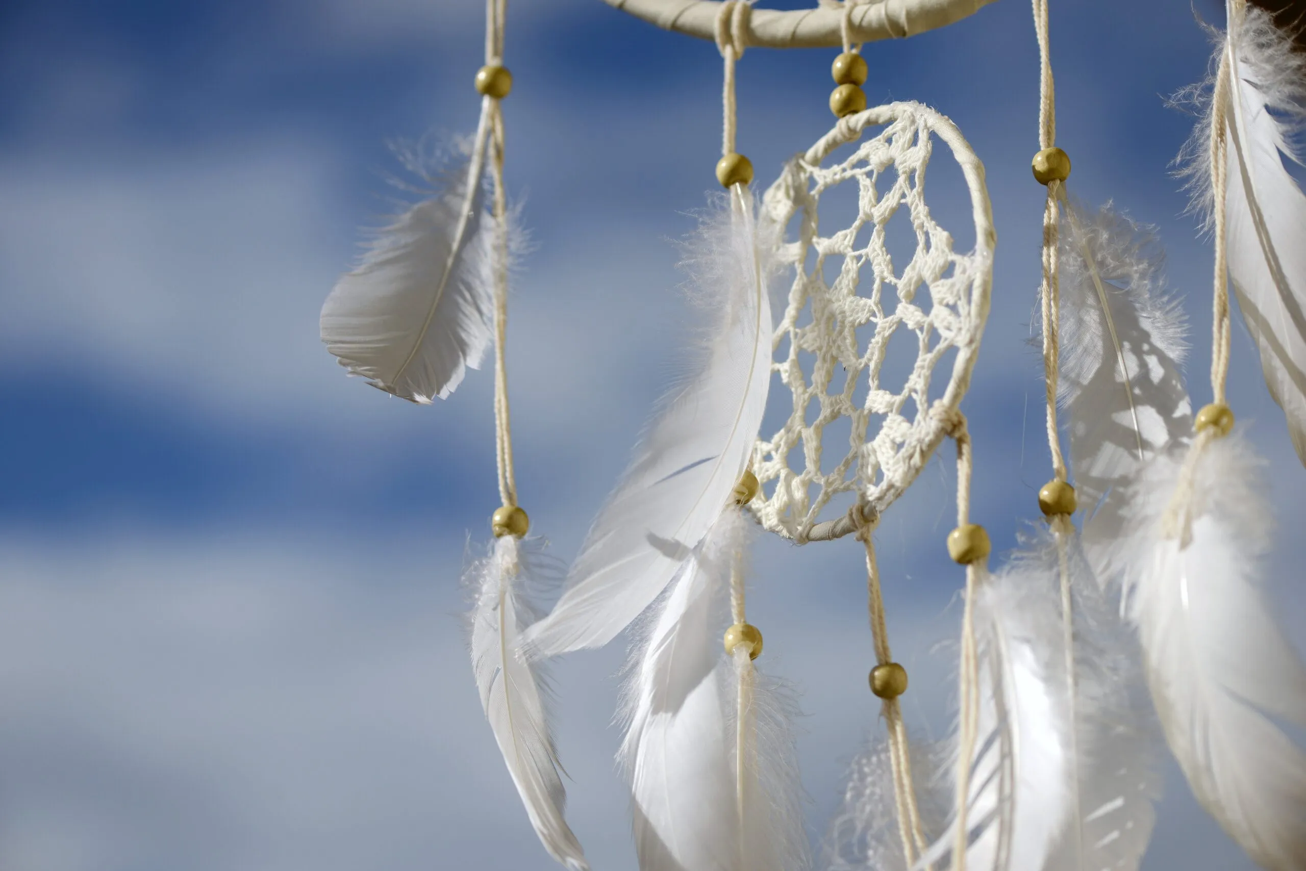 asundermeier-dreamcatcher-4065288