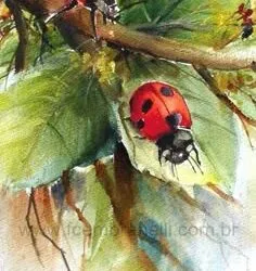 Άννα Πετρίδου, Άστατος καιρός