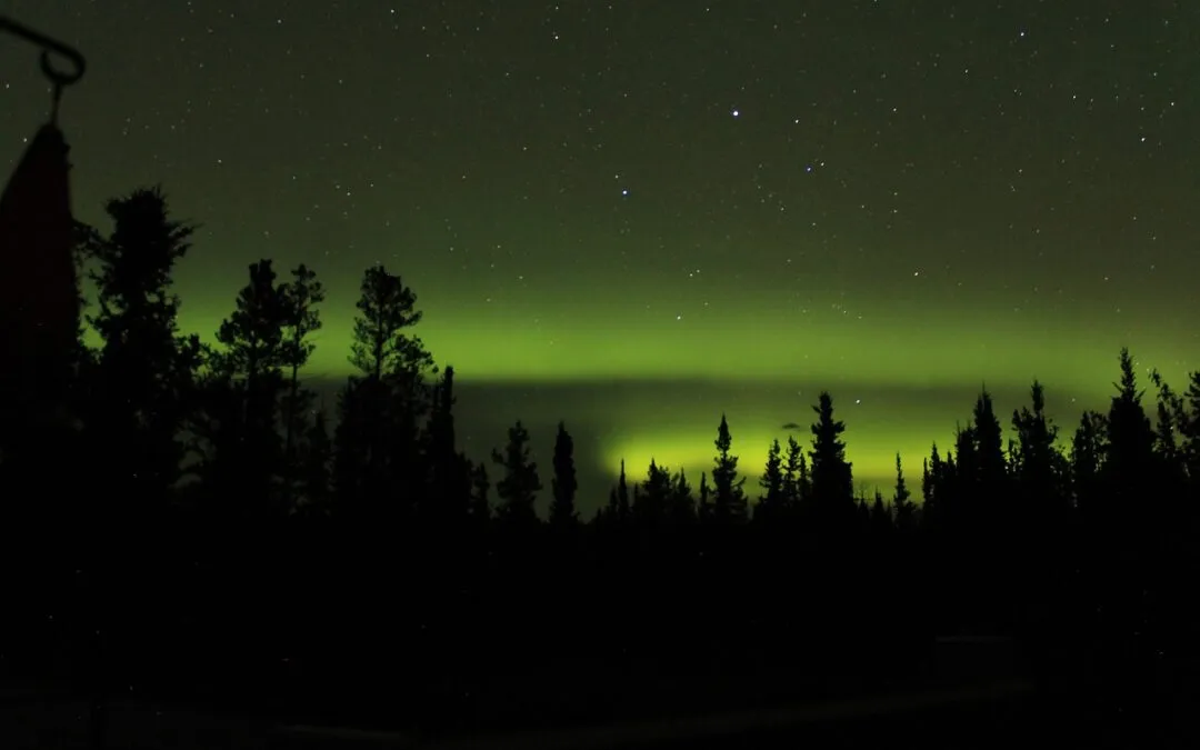 Γιώργος Βέης, χαϊκού