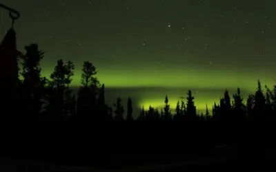 Γιώργος Βέης, χαϊκού