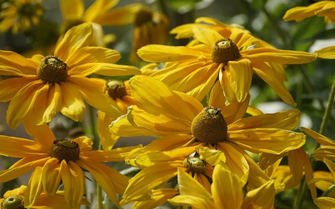 «Αύγουστος» και «Μεσημέρι, με τόλμη» του Γιώργου Βέη