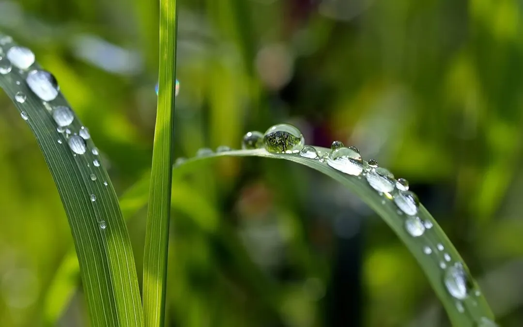 Γιάννης Σειρηνάκης, Φυσαλίδες και Στάλες
