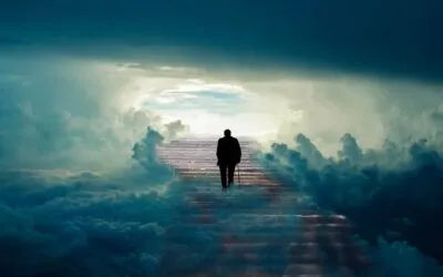 Νίκος Μητούσης, Χοές