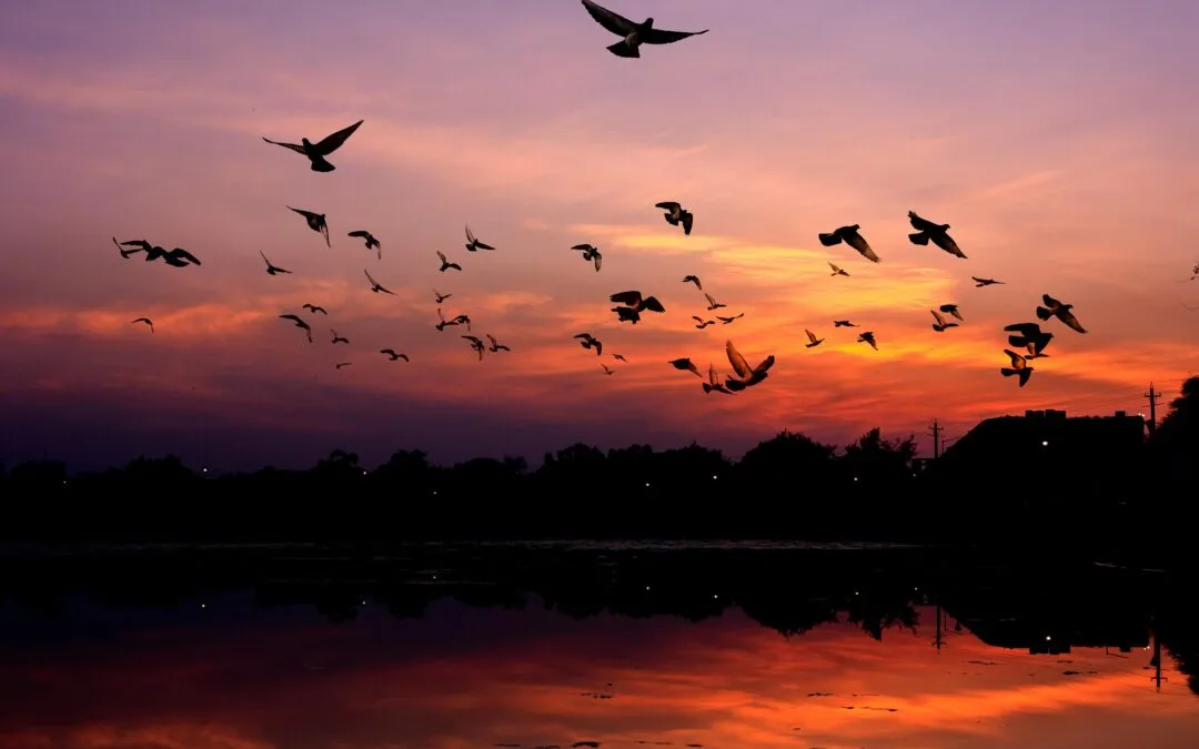 Μακάο: η Πύλη της Σελήνης του Γιώργου Βέη