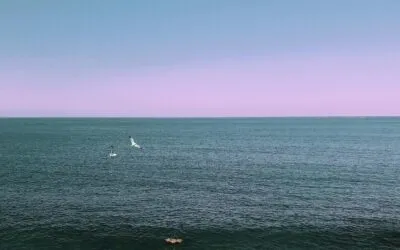 Γεωργία Μπουζέα, «Το μισό που έγινε ένα»  