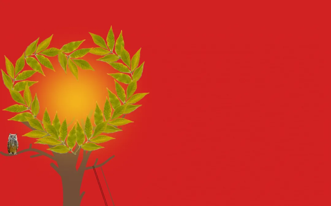 Η Αρκούδα, από τον ποιητή και πεζογράφο Πασχάλη Κατσίκα