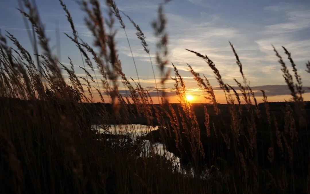 Γιώργος Χ.  Θεοχάρης, Δεκαπεντασύλλαβοι Ευπαρεύνειας
