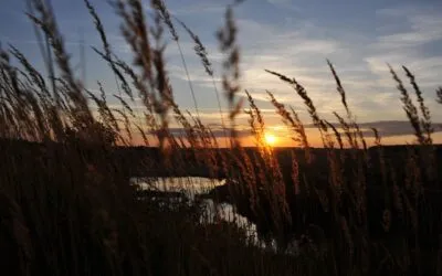 Γιώργος Χ.  Θεοχάρης, Δεκαπεντασύλλαβοι Ευπαρεύνειας