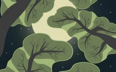 Γιάννης Πρίντεζης, Εκεί που το Φως Σκοτεινιάζει  