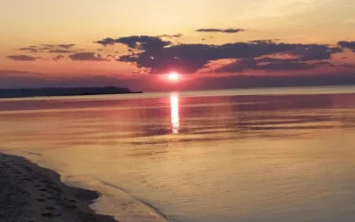 Γιώργος Βέης, Λόγος για την Ευτυχία