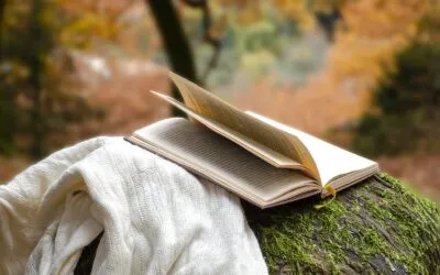 Φωτεινή Καπελλάκη,  «Θεώρημα γ» και «Απολογία»