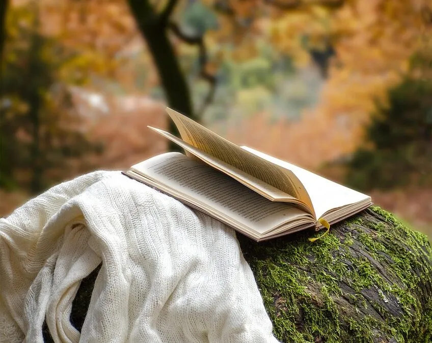 Φωτεινή Καπελλάκη,  «Θεώρημα γ» και «Απολογία»